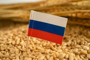 granen tarwe met rusland vlag, handel exporteren en economie concept. foto