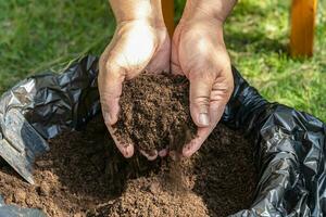 hand met veenmos organische stof verbeteren bodem voor landbouw biologische plantenteelt, ecologie concept. foto