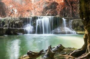 waterval diep Woud herfst seizoen foto