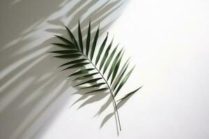 schaduw van palm bladeren Aan een wit muur achtergrond. ai generatief foto