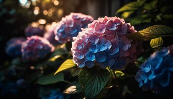 levendig hortensia boeket vitrines natuur schoonheid in zomer gegenereerd door ai foto