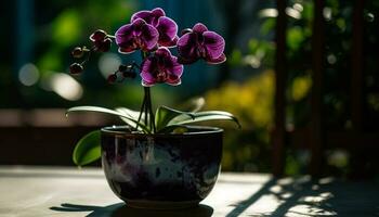 vers orchidee in overladen vaas brengt elegantie gegenereerd door ai foto
