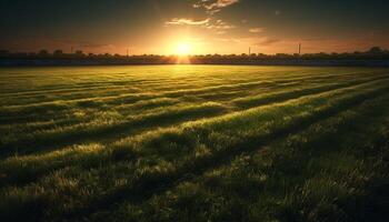 zonsopkomst over- landelijk tarwe boerderij, herfst oogst gegenereerd door ai foto