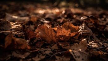 levendig herfst kleuren Aan esdoorn- boom Afdeling gegenereerd door ai foto