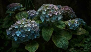 levendig hortensia bloesem in natuur formeel tuin gegenereerd door ai foto