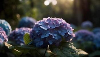 levendig hortensia bloesem, een geschenk van natuur gegenereerd door ai foto