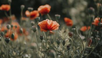 levendig wilde bloemen bloesem in rustig weide, een kleurrijk landschap tafereel gegenereerd door ai foto