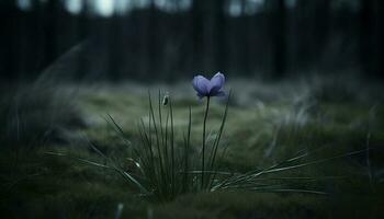 zacht focus krokus bloesem in rustig weide, omringd door groen gegenereerd door ai foto