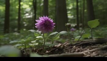 een kleurrijk landschap van bloemen in vol bloeien gedurende lente gegenereerd door ai foto