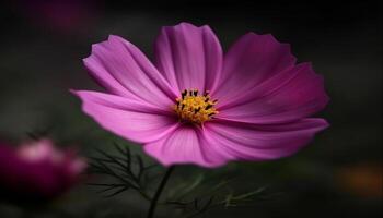 levendig wilde bloemen weide vitrines schoonheid in natuur breekbaarheid en groei gegenereerd door ai foto