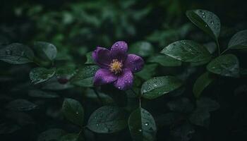 vers Purper hortensia bloesem, nat met dauw, in zomer tuin gegenereerd door ai foto