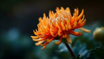 levendig dahlia bloesem vitrines natuurlijk schoonheid in dichtbij omhoog macro schot gegenereerd door ai foto