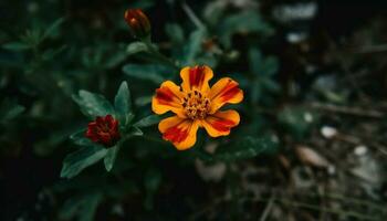 levendig multi gekleurde wilde bloemen boeket vitrines schoonheid in natuur groei gegenereerd door ai foto