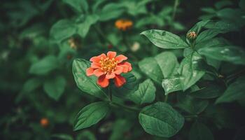 levendig wilde bloemen boeket vitrines schoonheid in natuur multi gekleurde formaliteit gegenereerd door ai foto