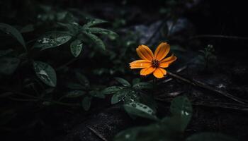 vers gerbera madeliefje bloesem in nat weide, omringd door natuur gegenereerd door ai foto