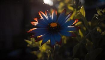 levendig wilde bloemen weide vitrines schoonheid in natuur multi gekleurde bloesems gegenereerd door ai foto