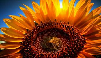 levendig zonnebloem hoofd, dichtbij omhoog van geel bloemblad en stuifmeel patroon gegenereerd door ai foto