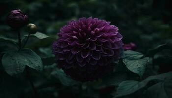 multi gekleurde hortensia bloesem in dichtbij omhoog, presentatie van natuur schoonheid gegenereerd door ai foto