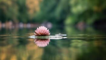 rustig lotus bloesem weerspiegelt schoonheid in natuur sereen vijver gegenereerd door ai foto