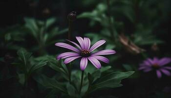 levendig wilde bloemen weide vitrines schoonheid in natuur multi gekleurde palet gegenereerd door ai foto