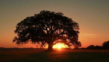 gouden zon sets over- rustig savanne, natuur schoonheid schijnt gegenereerd door ai foto