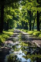 zomer, de zon schijnt helder, Woud pad. ai generatief foto