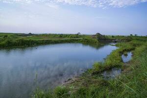 meer water met groen gras landschap visie van onder de blauw lucht foto