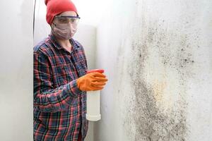 een vrouw sprays een gietvorm remedie Aan de muur, gietvorm verwijdering Bij huis. foto