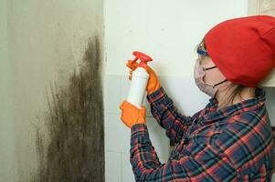 een vrouw sprays een gietvorm remedie Aan de muur, gietvorm verwijdering Bij huis. foto