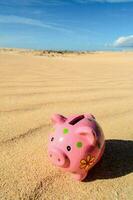 varkentje bank Aan strand zand foto