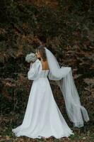 een romantisch bruid in een mooi jurk houdt een sluier in een hand- en een boeket van mooi gypsophila in de ander. foto