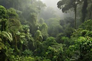 ai gegenereerd regenwoud is een van de meest biodiverse ecosystemen Aan de planeet. foto