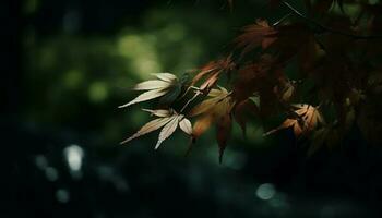 levendig herfst gebladerte Aan Japans esdoorn- boom in natuurlijk milieu gegenereerd door ai foto
