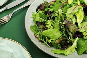 Groenen vegetarisch salade. foto