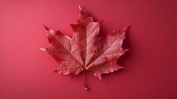 Canadees vlag rood blad Aan rood achtergrond. vlak leggen, top visie. kopiëren ruimte. generatief ai foto