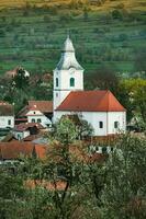 rijmthee is een klein dorp gelegen in Transsylvanië, Roemenië. het is gelegen in de apuseni bergen en is bekend voor haar pittoreske instelling en goed bewaard gebleven Hongaars bouwkundig stijl. foto
