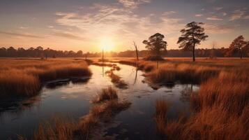 mooi landschap van wetland. natuur fotografie. ai gegenereerd foto