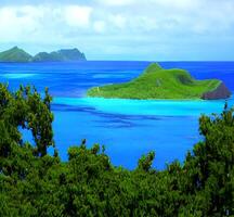 mooi eiland visie digitaal nieuw thema foto