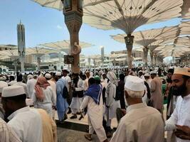 medina, saudi Arabië, mei 2023 - een mooi dag visie van masjid al nabawi, medina's buitenste binnenplaats, pelgrims en moskee luifels. foto