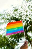 vrouw hand- houden klein de regenboog trots vlag. foto