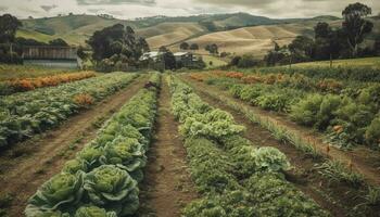 landbouw industrie oogsten gezond voedsel in een niet stedelijk landschap generatief ai foto