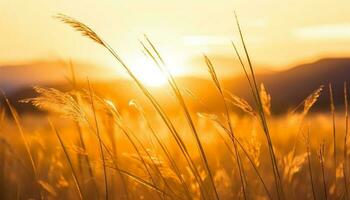gouden tarwe velden gloed in levendig zonsondergang, natuur schoonheid geopenbaard gegenereerd door ai foto
