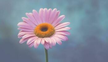 levendig kosmos boeket, roze en geel, in formeel tuin weide gegenereerd door ai foto