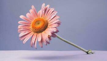 Purper gerbera madeliefje bloemblaadje, dichtbij omhoog schoonheid in natuur macro schot gegenereerd door ai foto