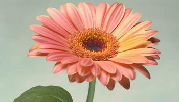 levendig gerbera madeliefje bloesem, een geschenk van schoonheid gegenereerd door ai foto