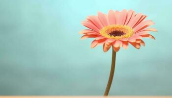 levendig gerbera madeliefje, een symbool van liefde en breekbaarheid gegenereerd door ai foto