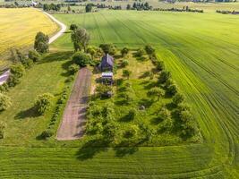 panoramisch antenne visie van eco dorp met houten huizen, grind weg, tuinen en boomgaarden foto