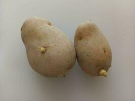 aardappelen Aan een wit achtergrond, detailopname, top visie foto