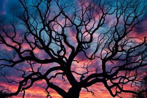 silhouet van een boom tegen de backdrop van de zonsondergang lucht generatief ai foto