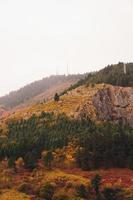 bomen in de bergen in de herfstseizoen foto